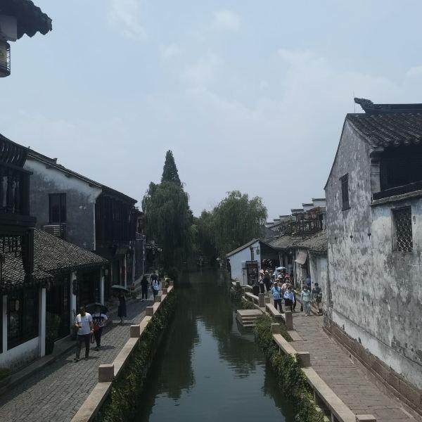 鑫亿盟提醒：鲜黄花菜怎么吃没毒